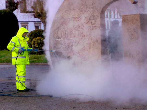 Best Power Washing Near Me  in Cut Off, LA